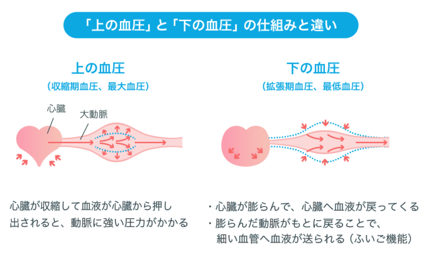 高齢者の血圧 拡張期も が低い原因は 数値や末期についての説明も 看護師ミカの健康ブログ 高齢者の血圧 拡張期も が低い原因は 数値や末期についての説明も 看護師ミカの健康ブログ